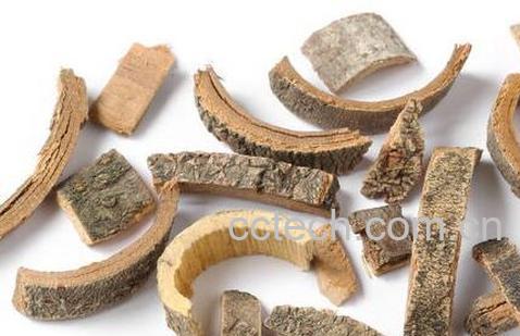 果蔬百科秦皮的药用价值与功效-0