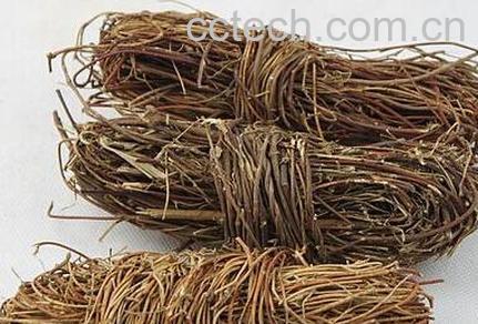 果蔬百科鸡骨草的功效与用法-0