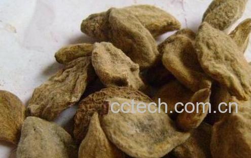 果蔬百科碧桃干的功效与作用-0