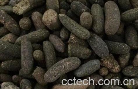 果蔬百科五灵脂的药用价值与功效-0