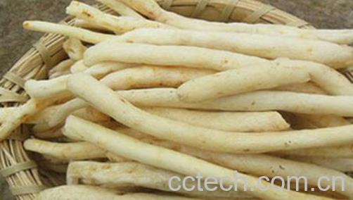 果蔬百科明党参的功效与作用-0