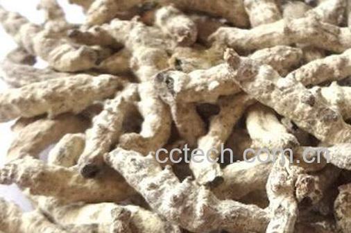 果蔬百科白僵蚕的功效与用法-0