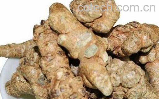 果蔬百科天麻搭配三七的好处有哪些-0