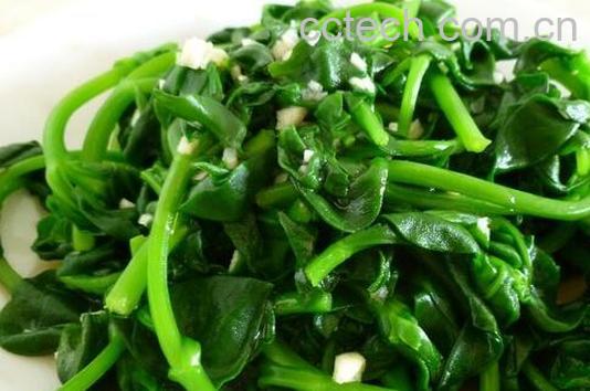 果蔬百科穿心莲怎么吃-0