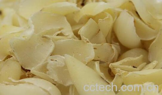 果蔬百科秋天吃百合的好处有哪些-0