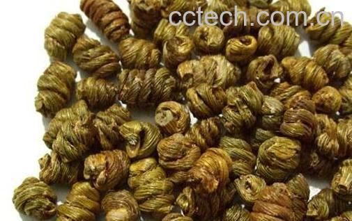 果蔬百科铁皮石斛的功效与作用-0