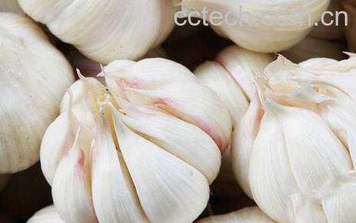 果蔬百科治疗牛皮癣的小偏方-0