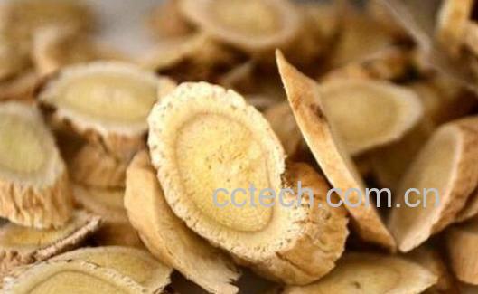 果蔬百科黄芪怎么吃抗病效果好-0