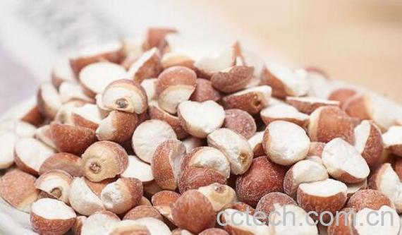 果蔬百科芡实的养生功效有哪些-0