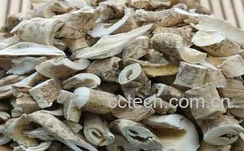 果蔬百科白癣皮的功效与作用-0