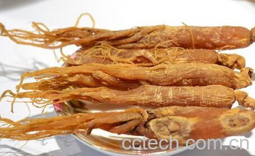 果蔬百科人参的种类-0