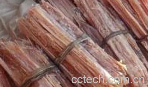 果蔬百科松节的药用价值与功效-0