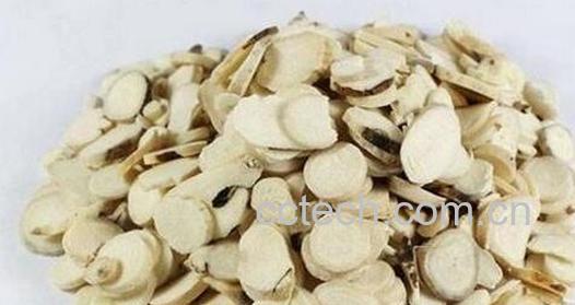 果蔬百科白术的药用价值与功效-0