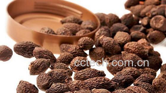 果蔬百科胖大海的药用功效与作用-0