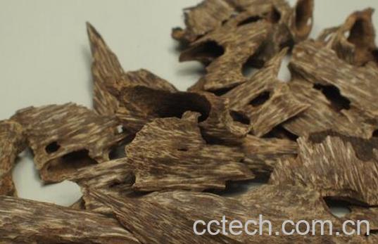 果蔬百科沉香是什么-0