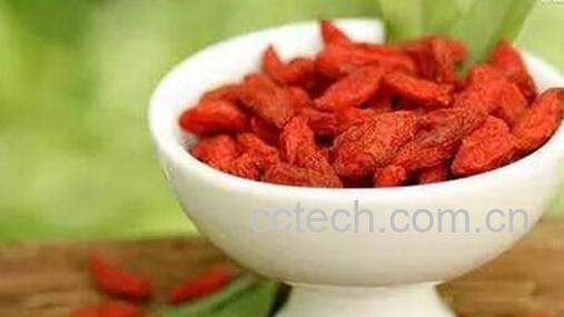 果蔬百科枸杞治病的小偏方-0