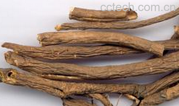 果蔬百科刺五加的药用功效与用法-0