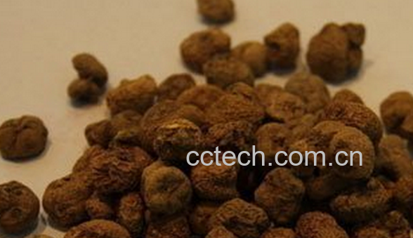 果蔬百科中药苏合香-0