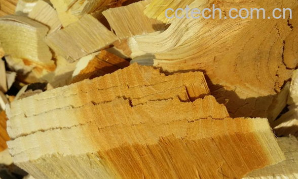 果蔬百科苦木的功效与作用-0