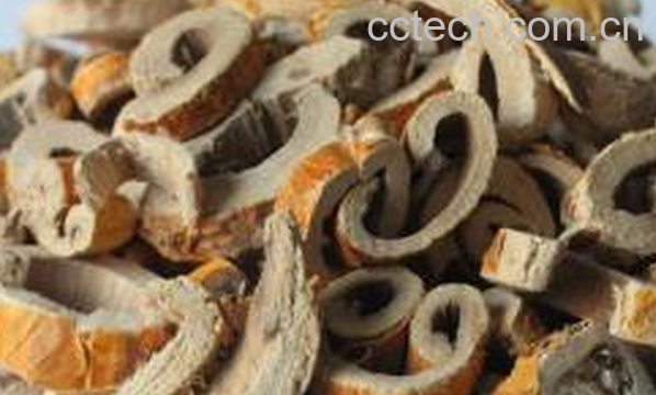 果蔬百科桑白皮泡水喝的功效与作用-0