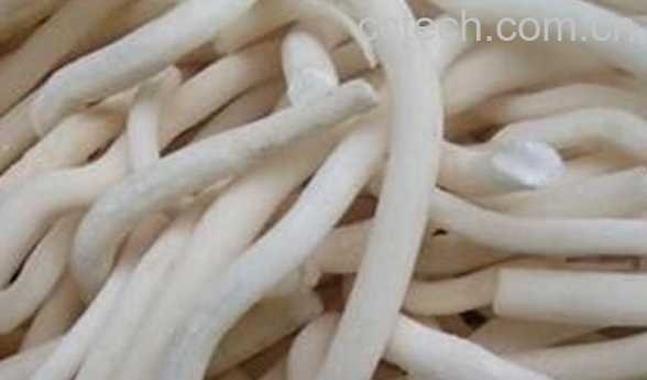 果蔬百科通花根的功效与作用-0