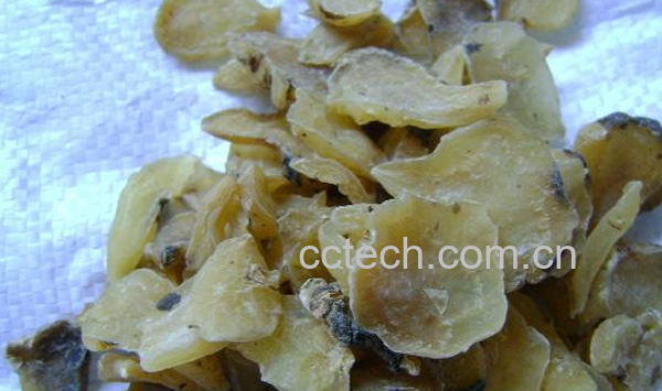 果蔬百科附片的功效与作用-0