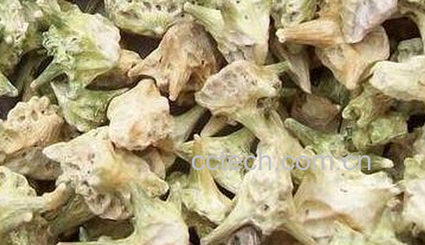 果蔬百科刺蒺藜的功效与作用-0