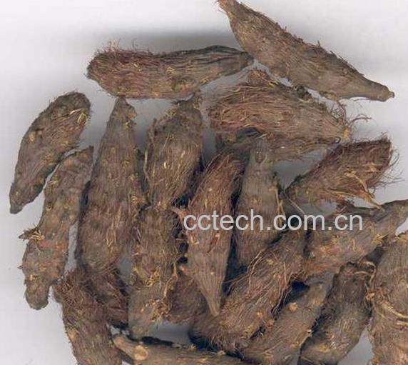 果蔬百科香附的功效与作用-0