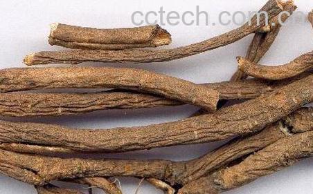 果蔬百科五加皮图片_五加皮的功效与作用-0