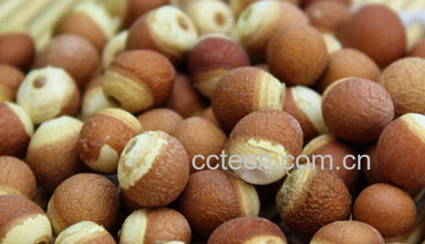 果蔬百科芡实的药用功效与用法-0