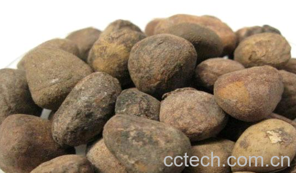 果蔬百科大风子的功效与作用-0