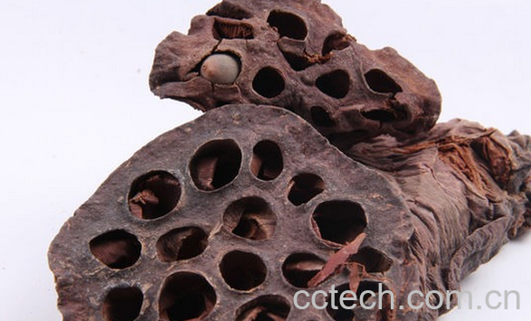 果蔬百科中药莲房的功效与作用-0