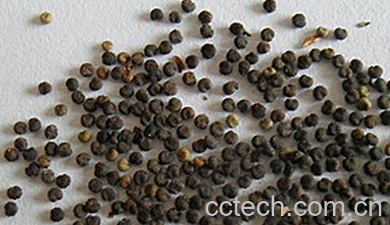 果蔬百科白花菜籽的功效与作用-0