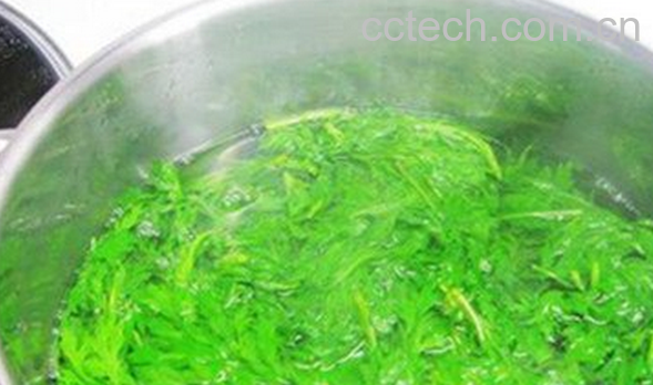 果蔬百科艾草煮水的功效与作用-0