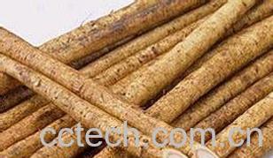 果蔬百科川牛膝图片 川牛膝的功效与作用-0