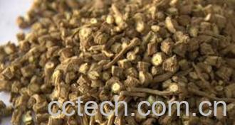 果蔬百科中药柴胡性味归经 中药柴胡功效作用-0