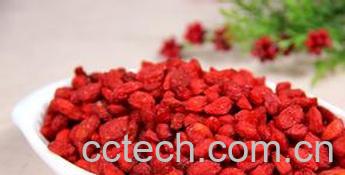 果蔬百科枸杞的功效与作用及食用方法-0