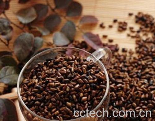 果蔬百科决明子的功效与作用及食用方法-0