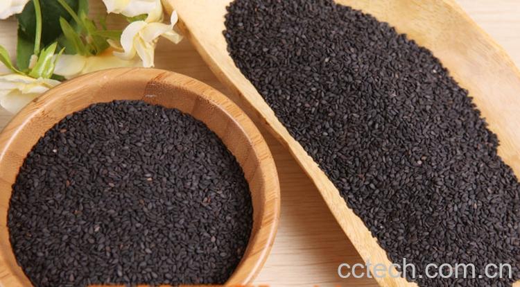 果蔬百科芝麻的功效与作用-0