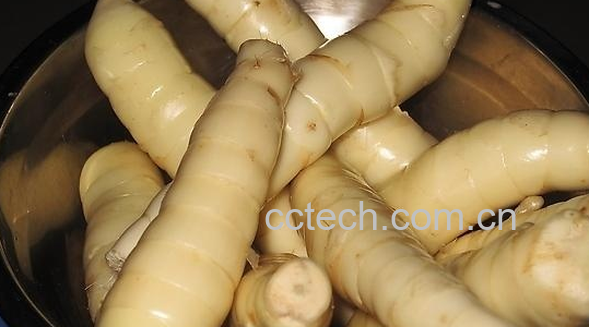 果蔬百科玉竹的食疗功效与用法-0