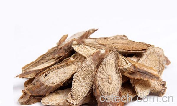 果蔬百科宽筋藤图片 宽筋藤的功效与作用-0