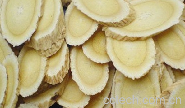 果蔬百科黄芪泡水喝的功效与作用-0