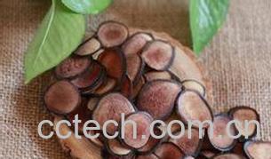 果蔬百科鹿茸的功效与作用-0