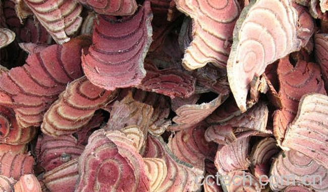 果蔬百科血风藤的功效与作用-0