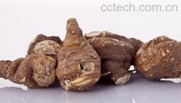 果蔬百科蚤休的功效与作用-0