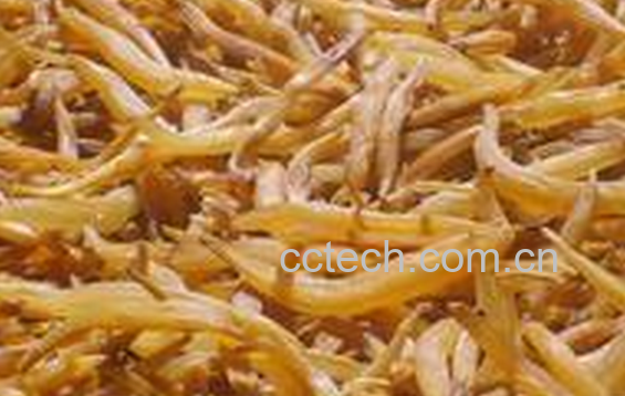 果蔬百科天冬的功效与作用-0