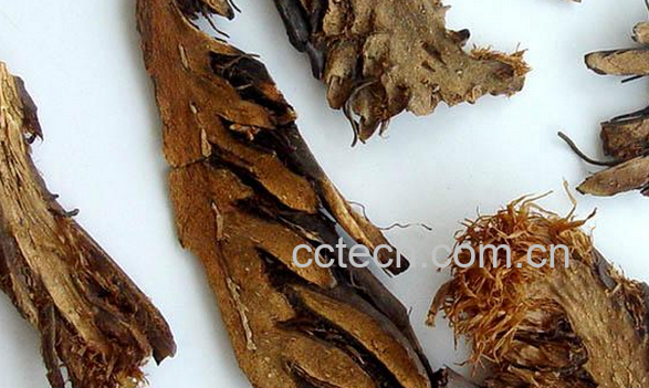 果蔬百科贯众图片 贯众的功效与作用-0