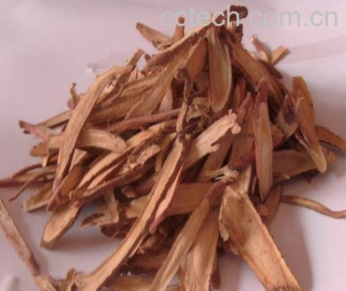 果蔬百科甘草梢 甘草梢的功效与作用 甘草梢的副作用-0