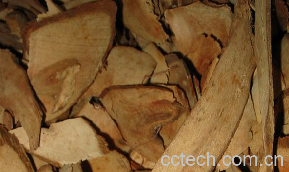 果蔬百科斑鸠木的功效与作用-0