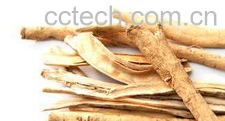 果蔬百科白鲜皮图片 白鲜皮的功效与作用-0